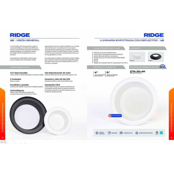 RIDGE - Imagen 2