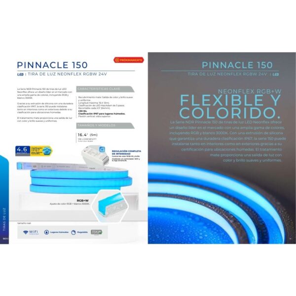 PINNACLE 150 - Imagen 2