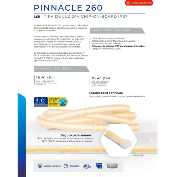PINNACLE 260 - Imagen 2